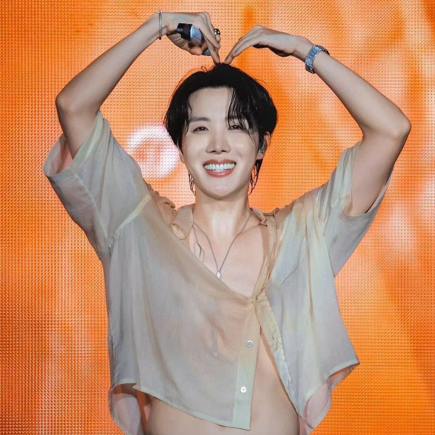 제이홉 (방탄소년단) 팬이 찍은 순간