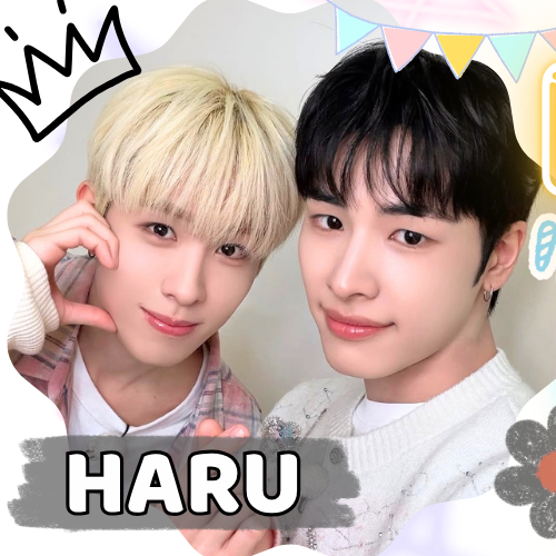 Hot post catching attention from 하루 (NEXZ)'s fandom