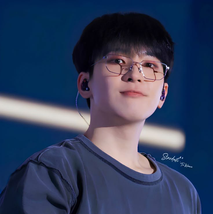 원우 (세븐틴) 팬이 찍은 순간