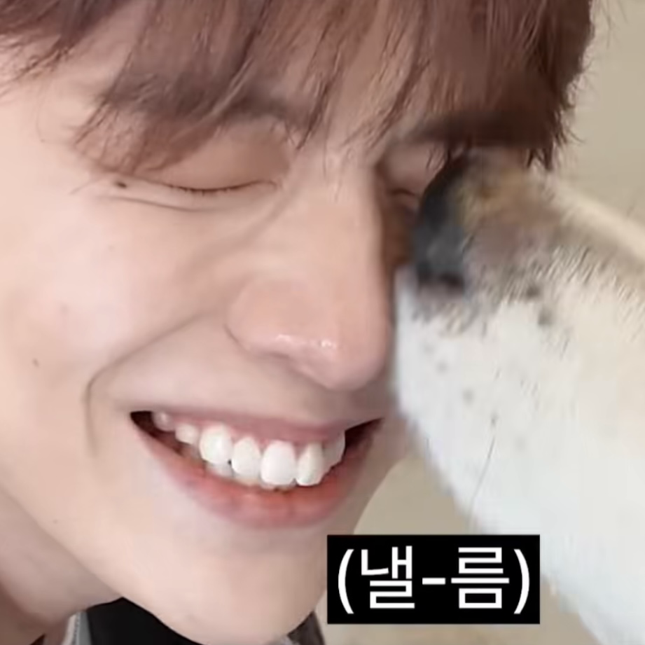 강다니엘 팬이 찍은 순간