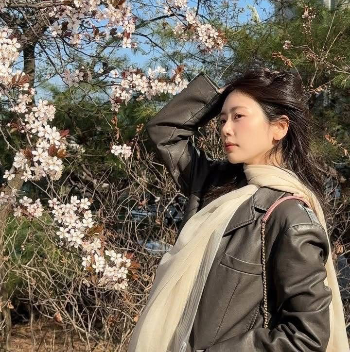 Recent activity shot of DREAMCATCHER