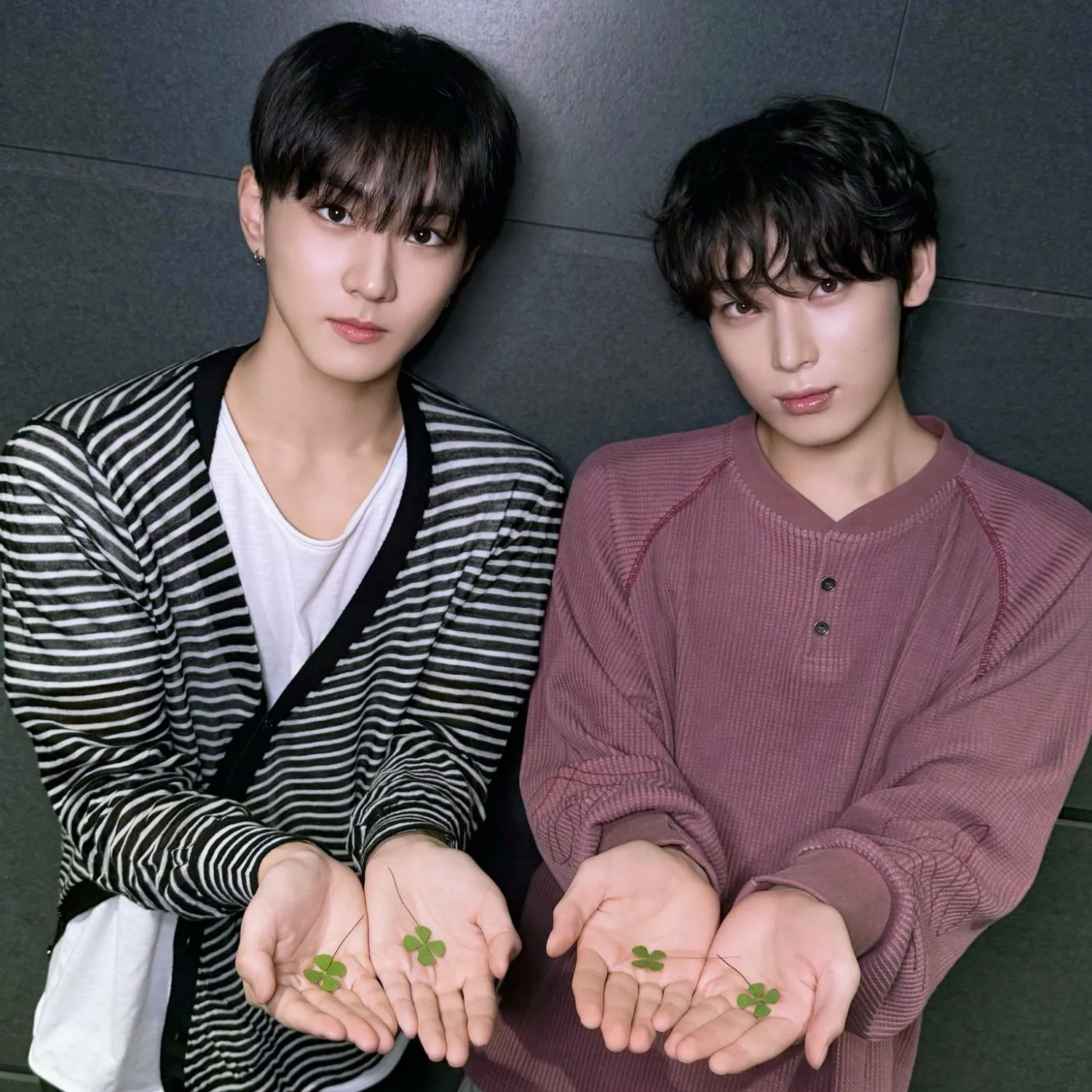 Momen yang diabadikan oleh penggemar ENHYPEN