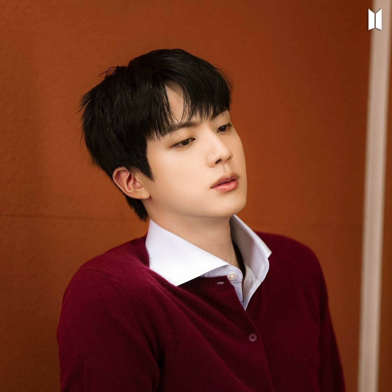 Behind-the-scenes cut of Jin (BTS)