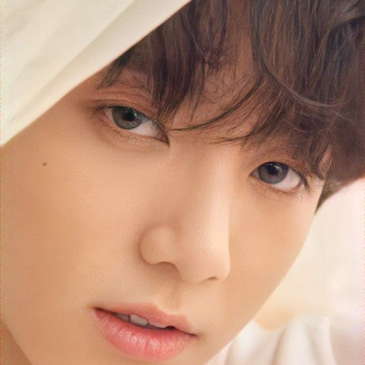 A moment captured by Jungkook (BTS)'s fan