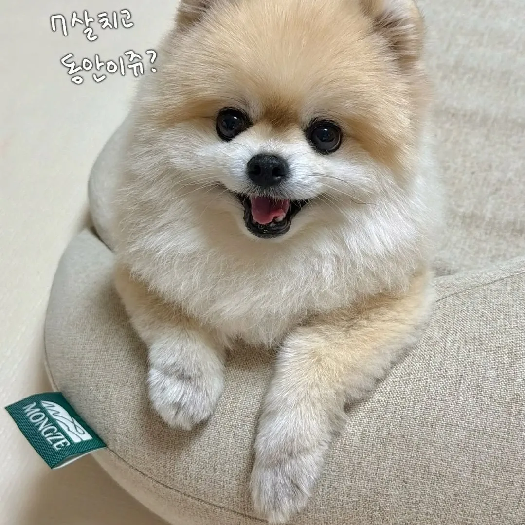 Latest photo of Xdinary Heroes