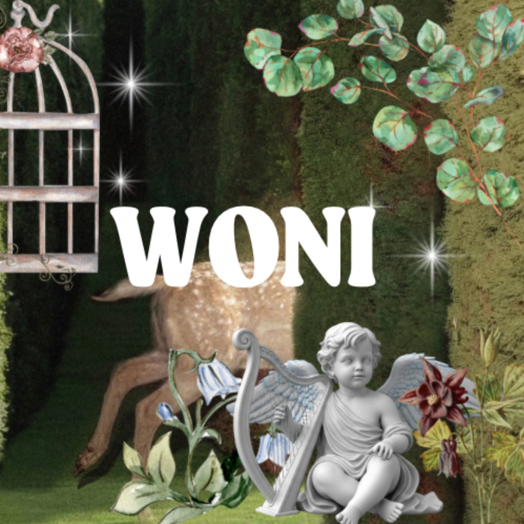 A moment captured by Woni (RESCENE)'s fan