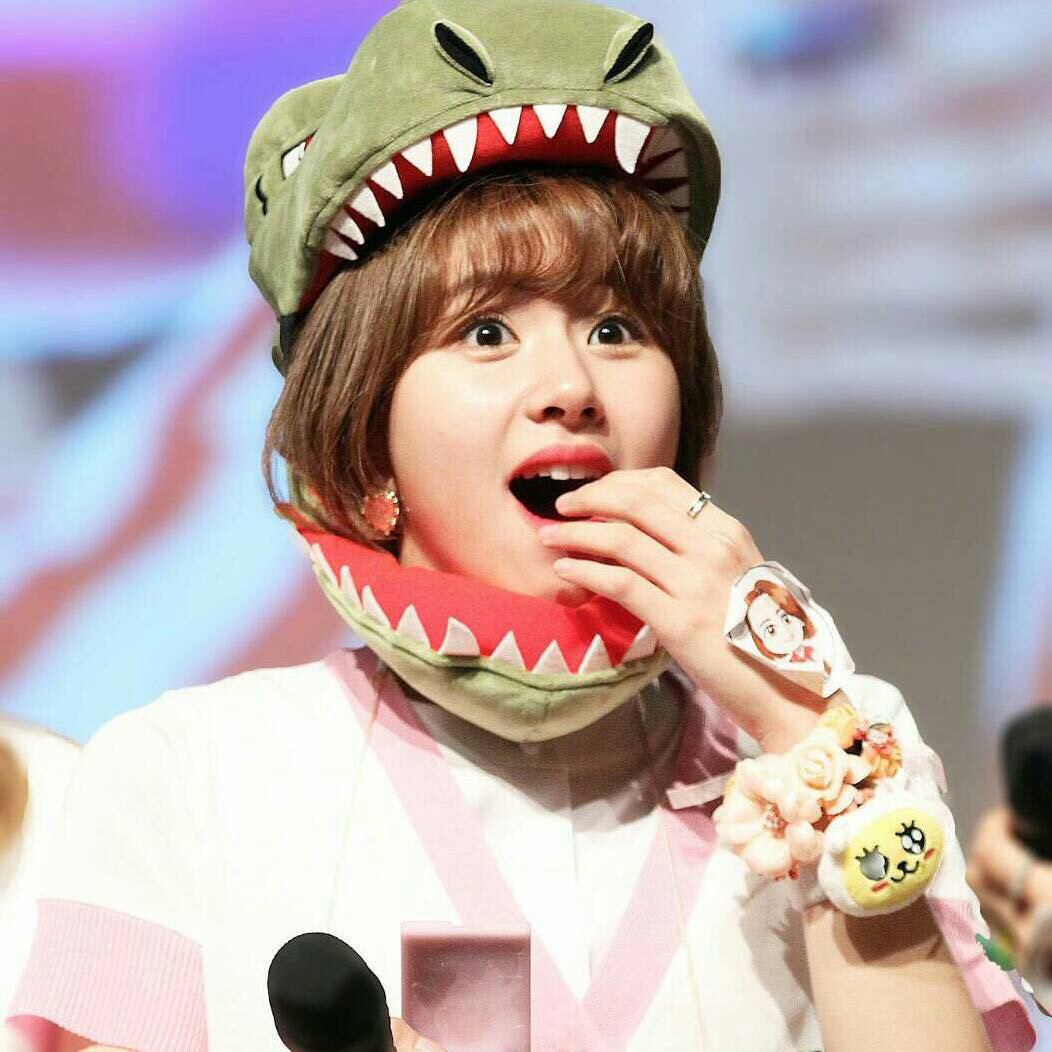 TWICE 최근 활동샷