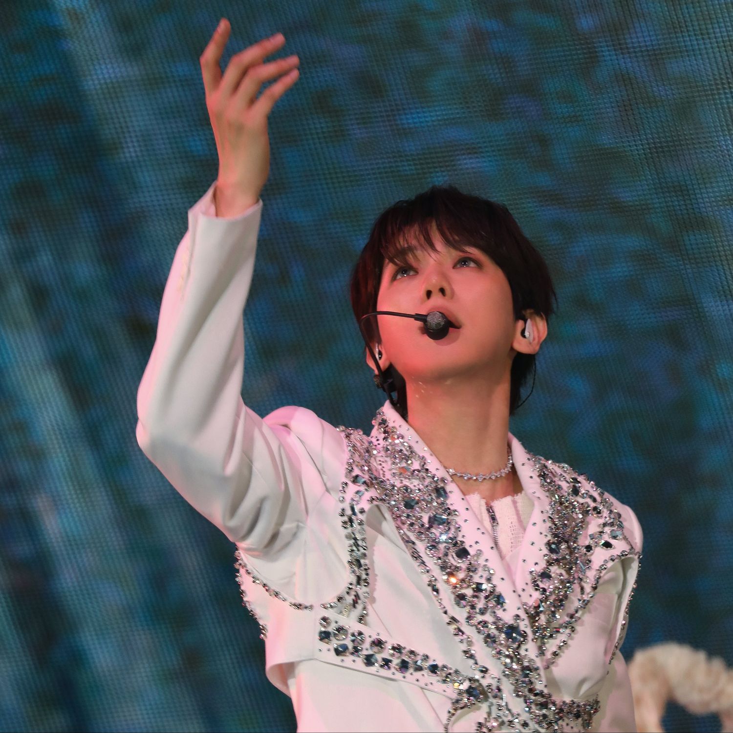 伯賢 (EXO)的最新照片