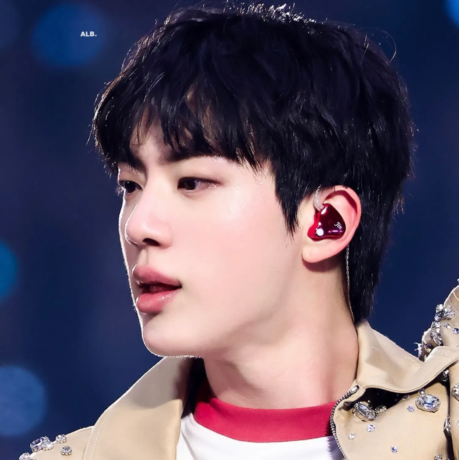 진 (방탄소년단) 팬이 찍은 순간