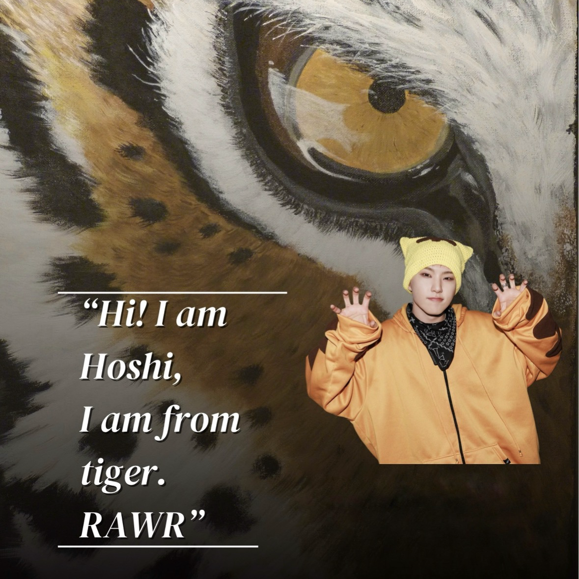 세븐틴의 비하인드 컷