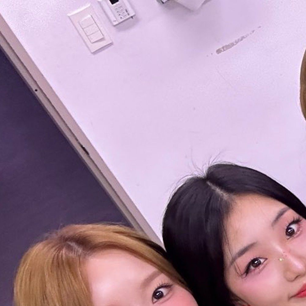 Recent activity shot of Loossemble