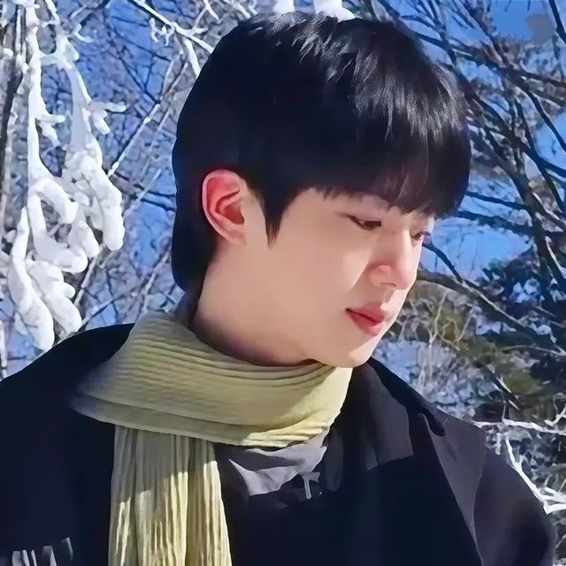 진 (방탄소년단) 최근 활동샷