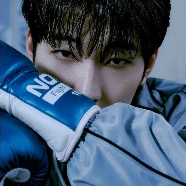 Recent activity shot of Wonwoo (SEVENTEEN)