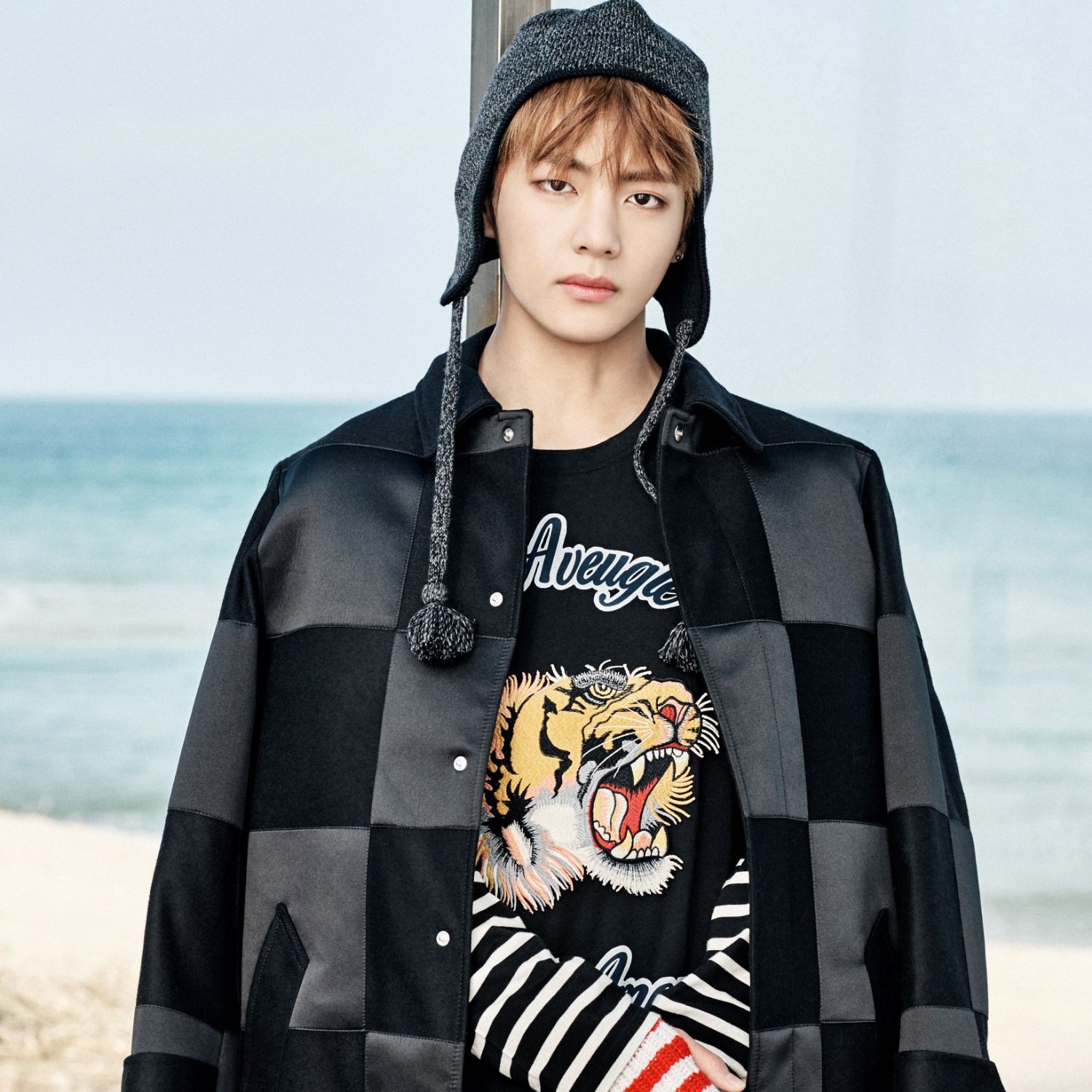 V (防弹少年团)粉丝拍下的瞬间