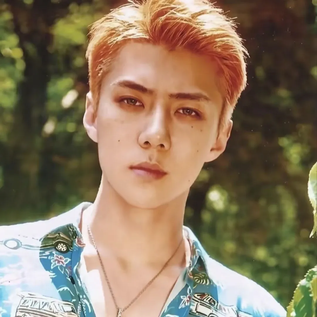 세훈 (EXO) 최근 활동샷