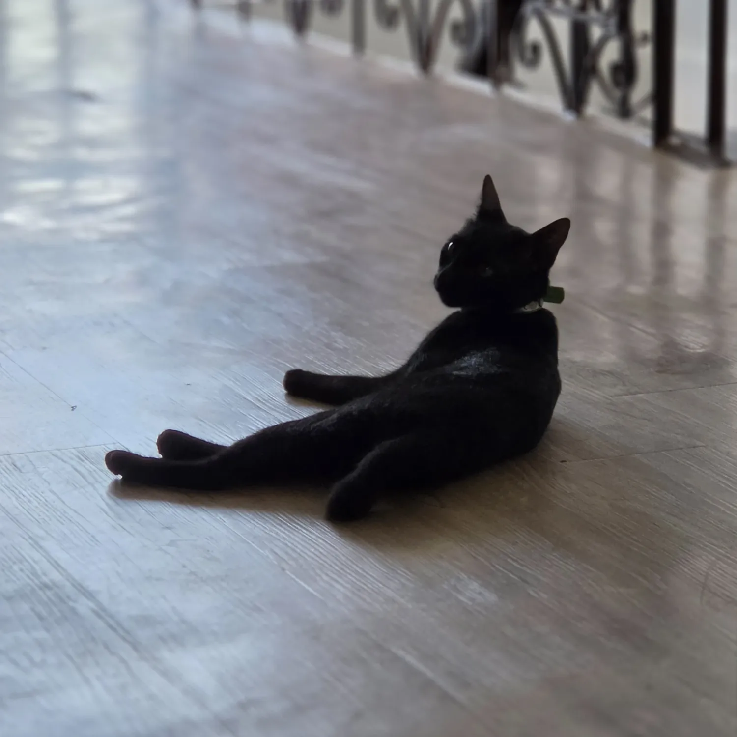 세븐틴 최근 활동샷