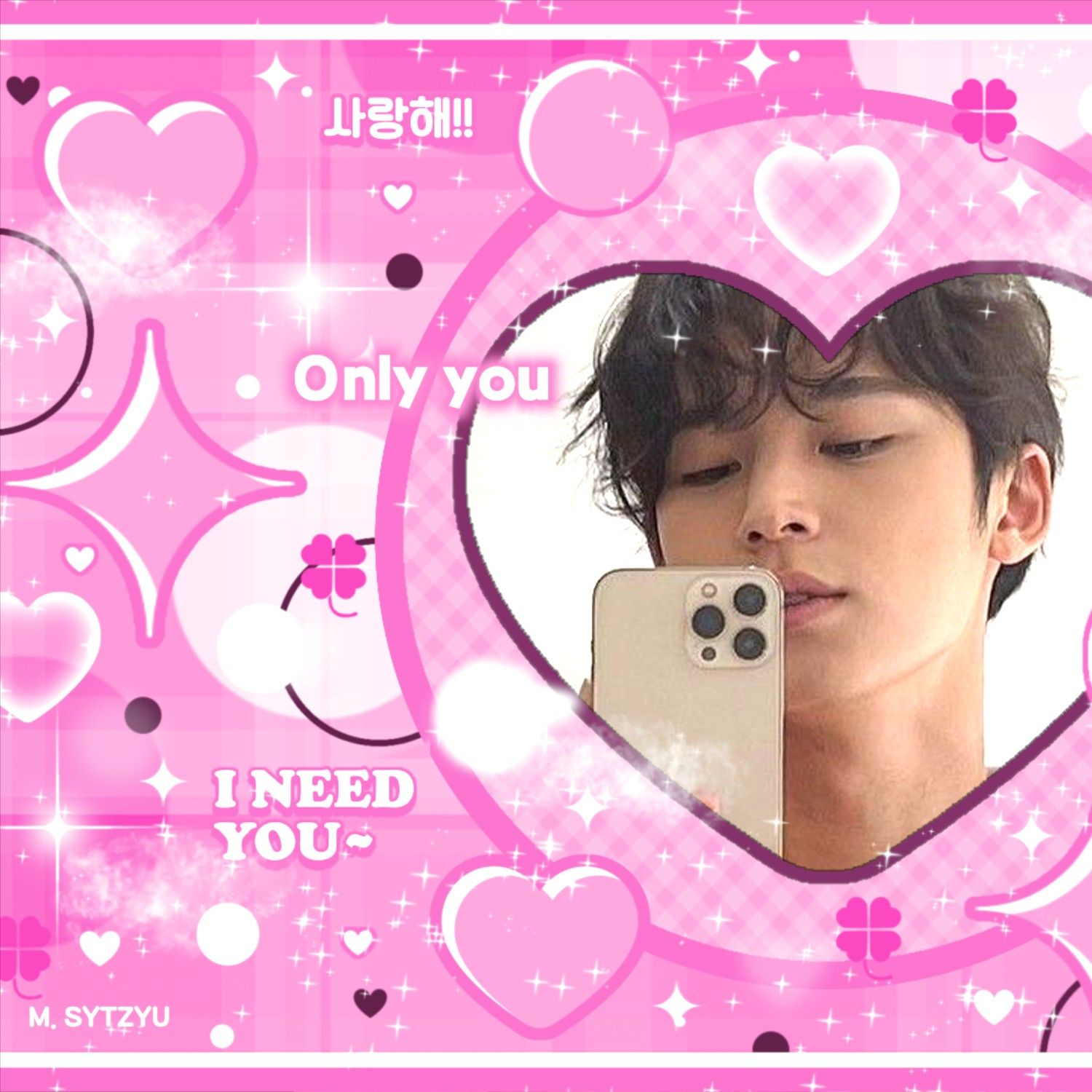 세븐틴 팬이 찍은 순간