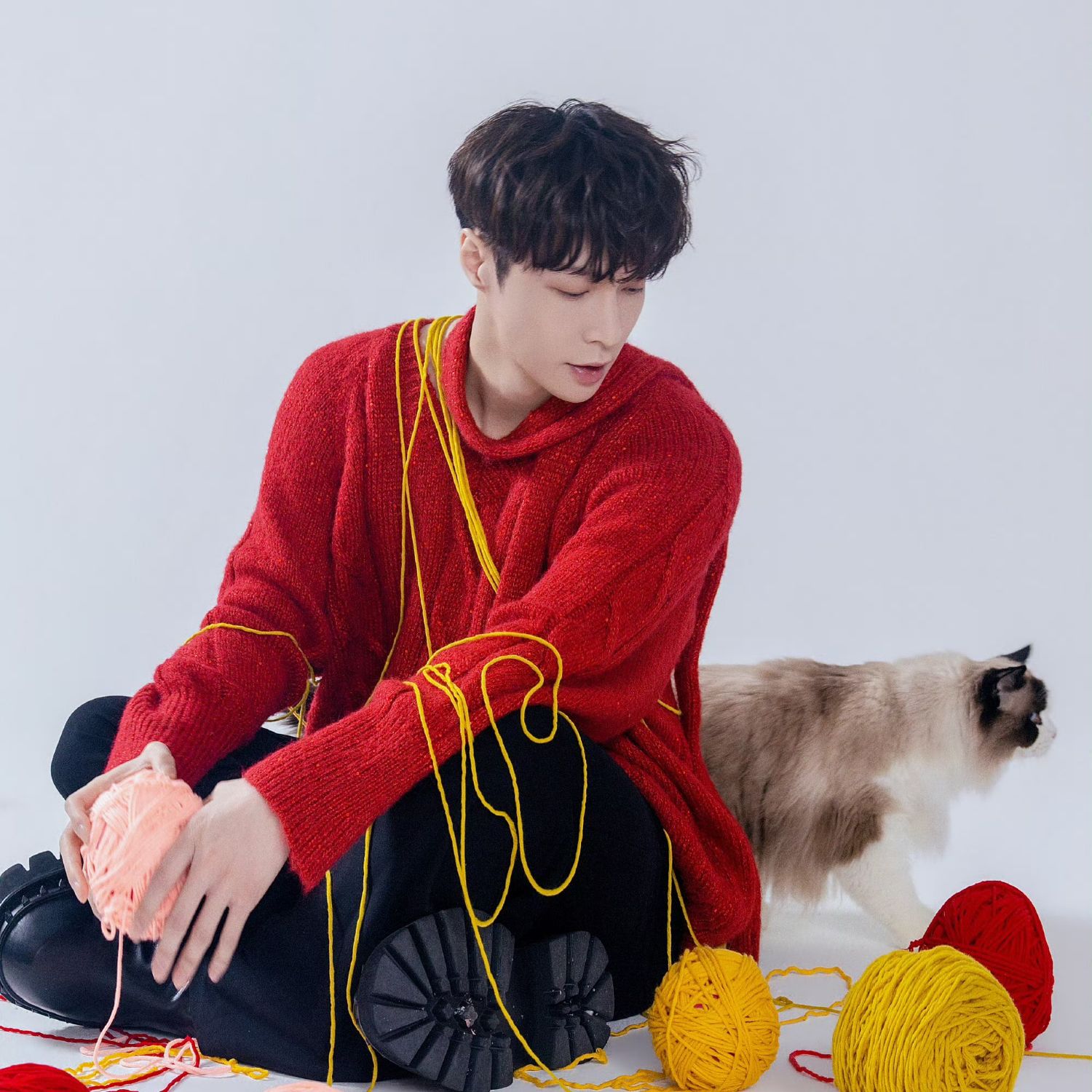 レイ (EXO)ファンが撮った瞬間