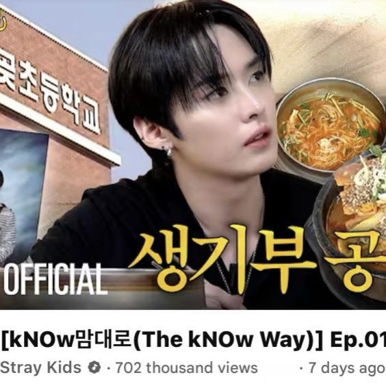 Recent activity shot of Stray Kids