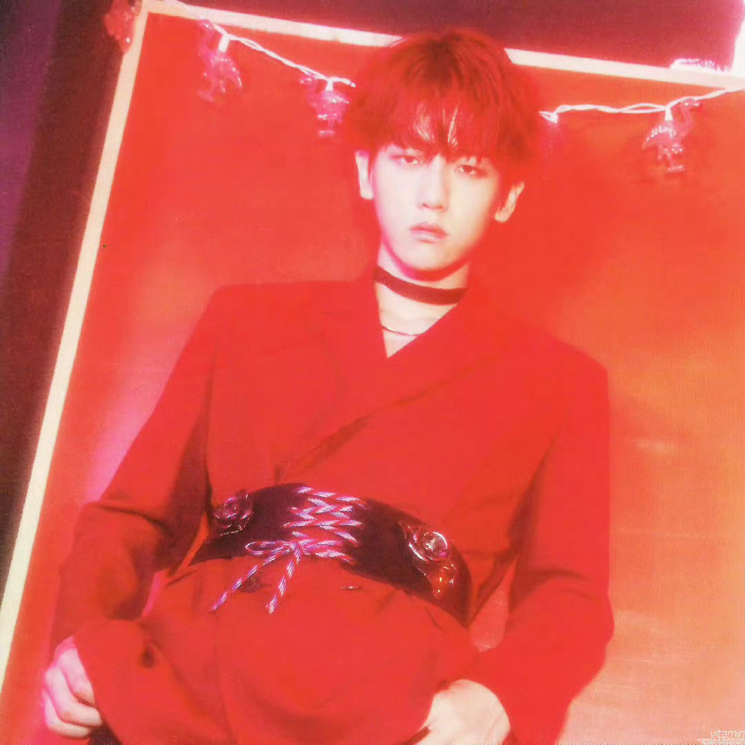 伯賢 (EXO)粉絲拍下的瞬間