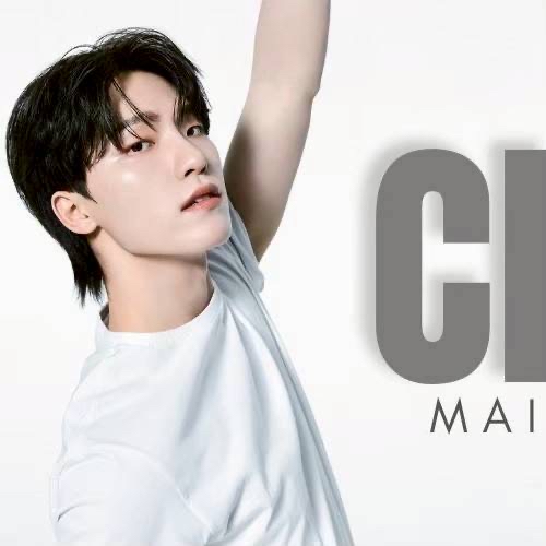 A moment captured by Dino (SEVENTEEN)'s fan