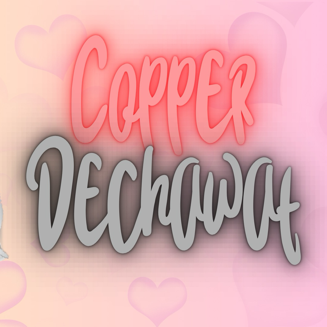 코퍼 (BUS) 최근 활동샷