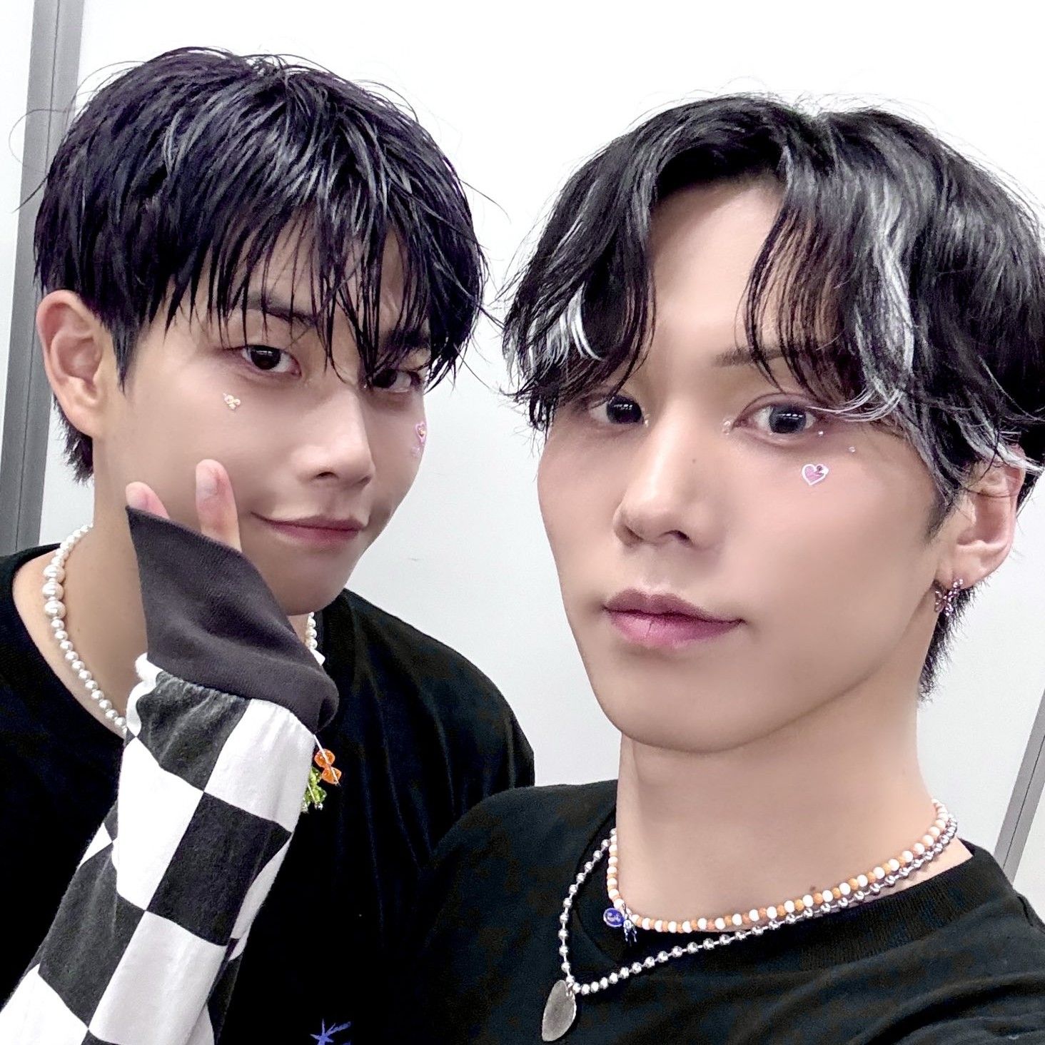 Recent activity shot of Rocky