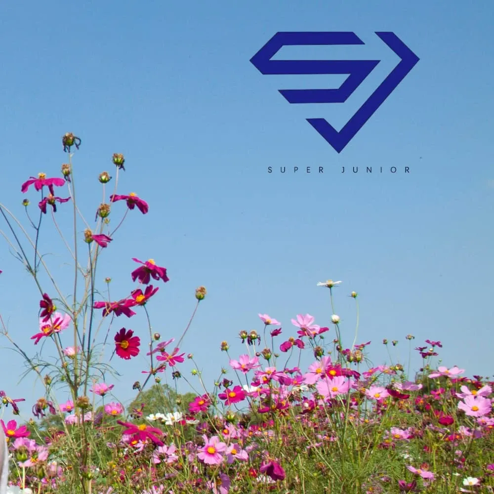 Must-see popular post of 은혁 (슈퍼주니어), your favorite