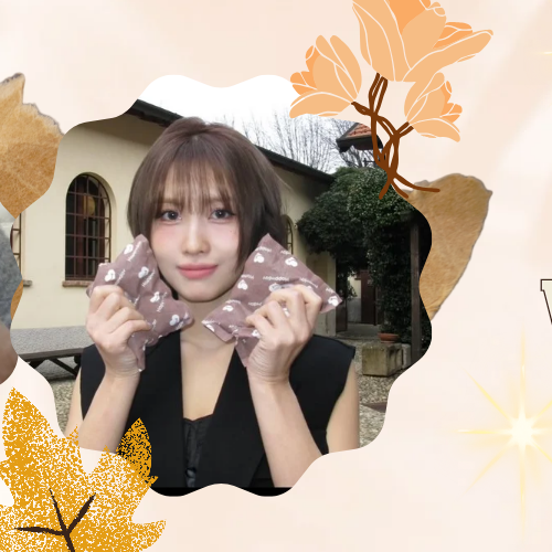 Momen yang diabadikan oleh penggemar Momo (TWICE)