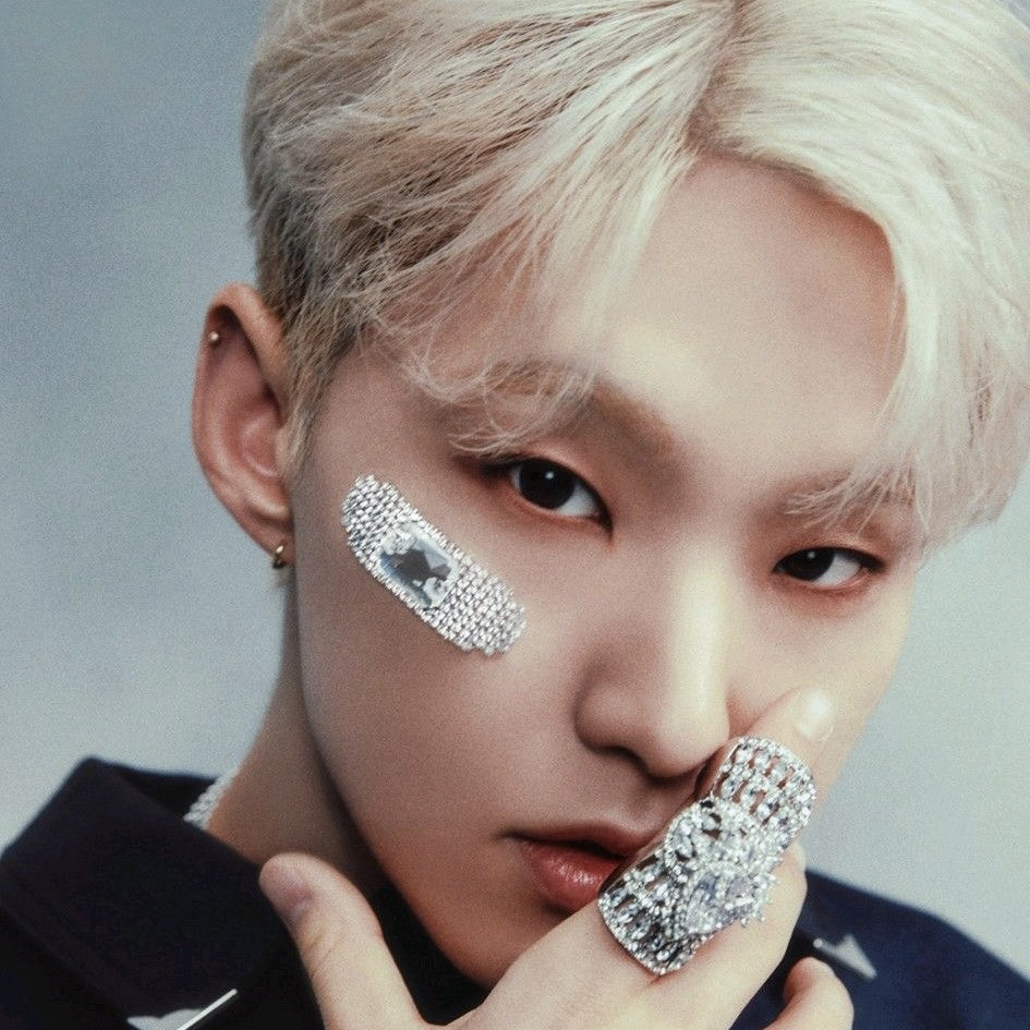 A moment captured by Hoshi (SEVENTEEN)'s fan