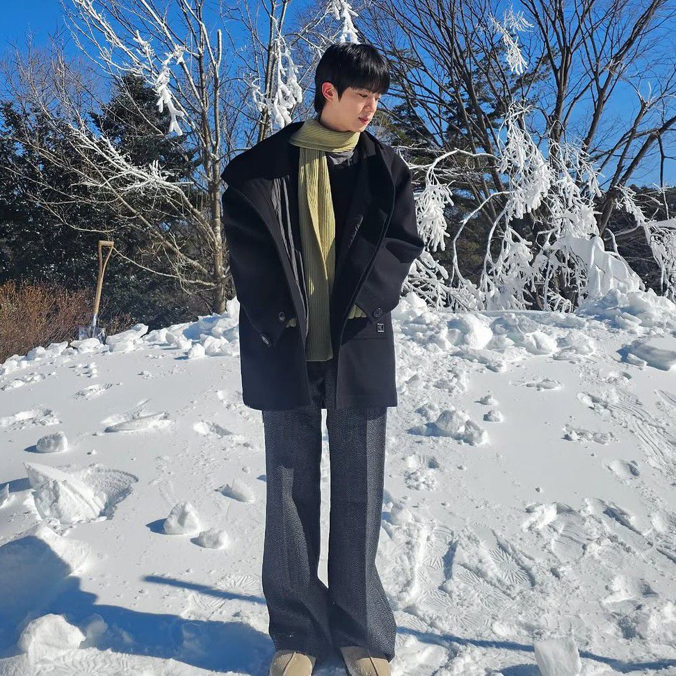 진 (방탄소년단) 팬이 찍은 순간