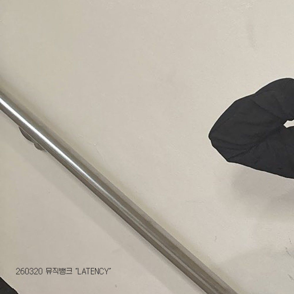 A moment captured by Loossemble's fan