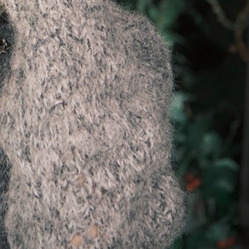 Behind-the-scenes cut of Jeong Yein (Lovelyz)