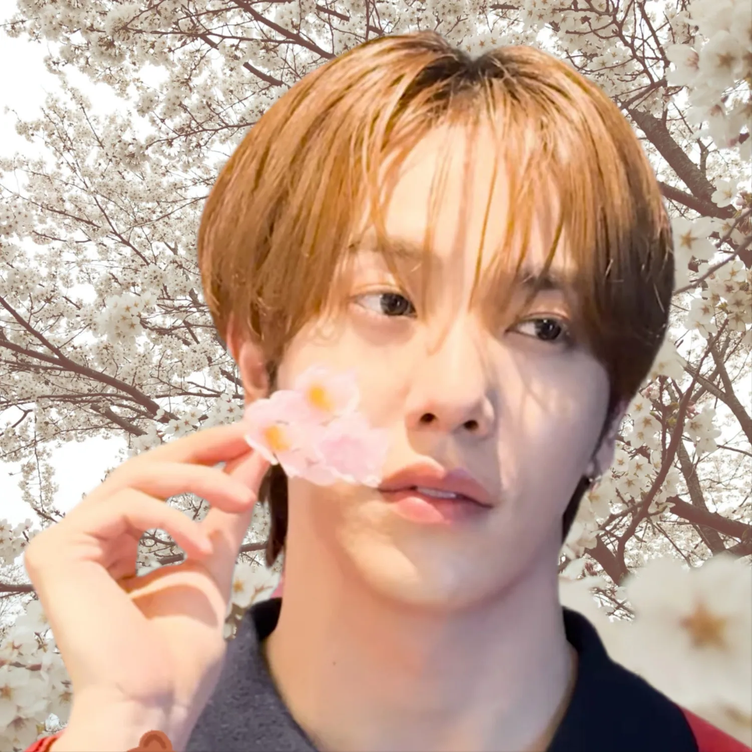 Latest photo of KAZUTA (n.SSign)