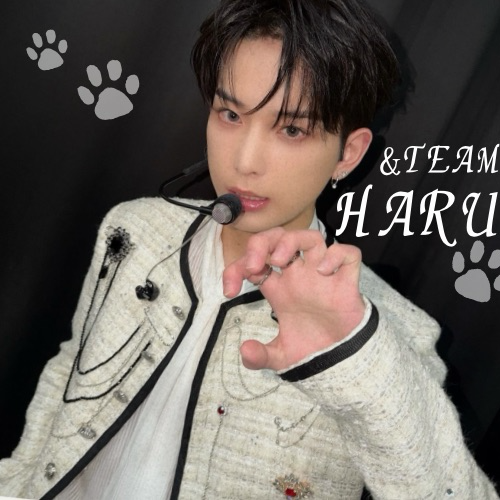 最愛ドルコミュニティの爆発的人気投稿