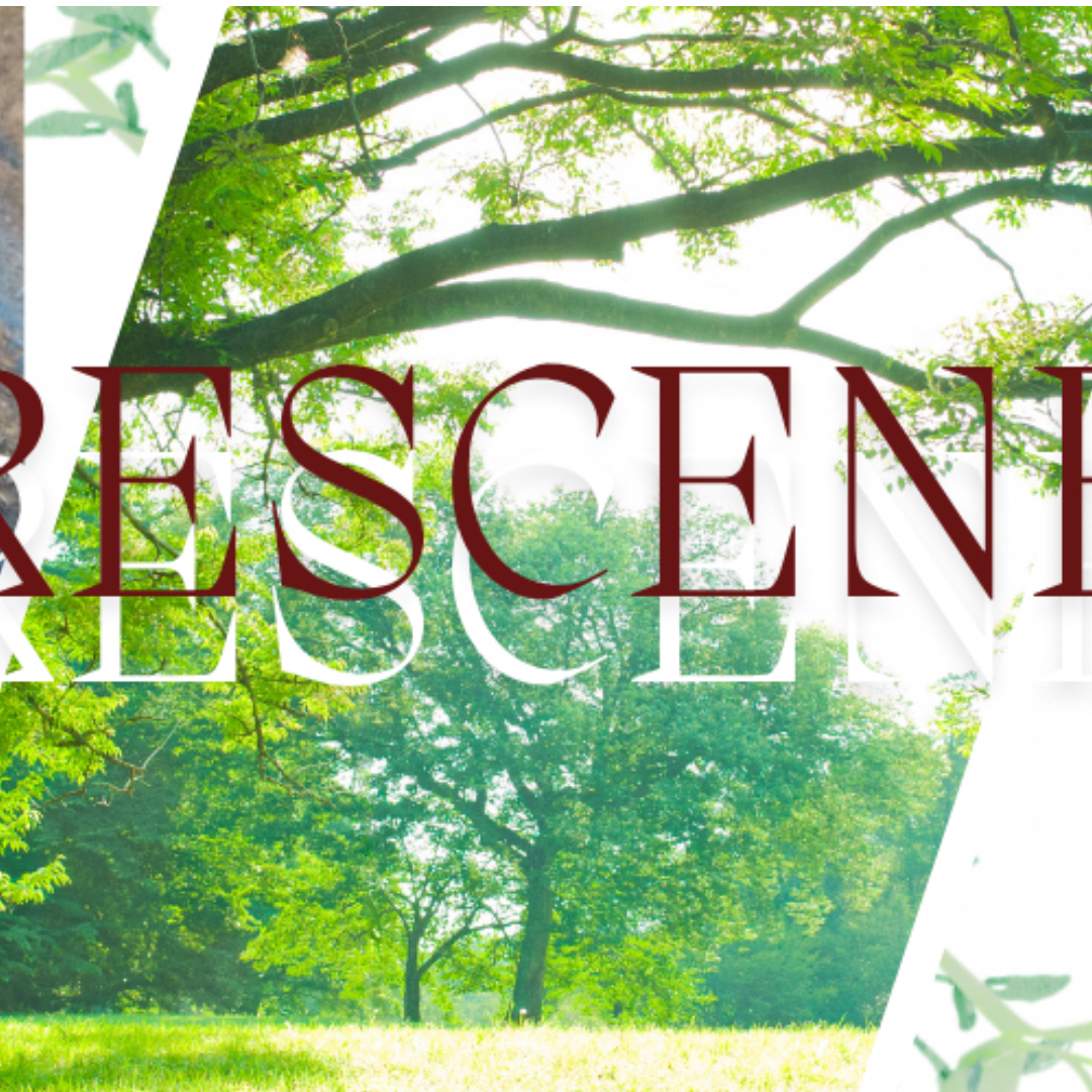 Behind-the-scenes cut of RESCENE