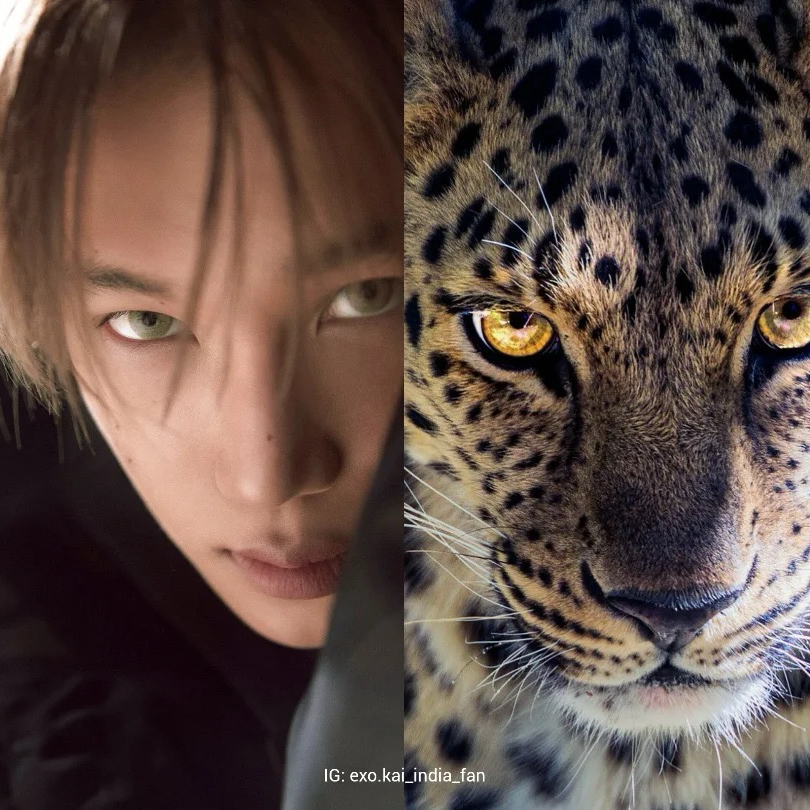 Momen yang diabadikan oleh penggemar Kai (EXO)