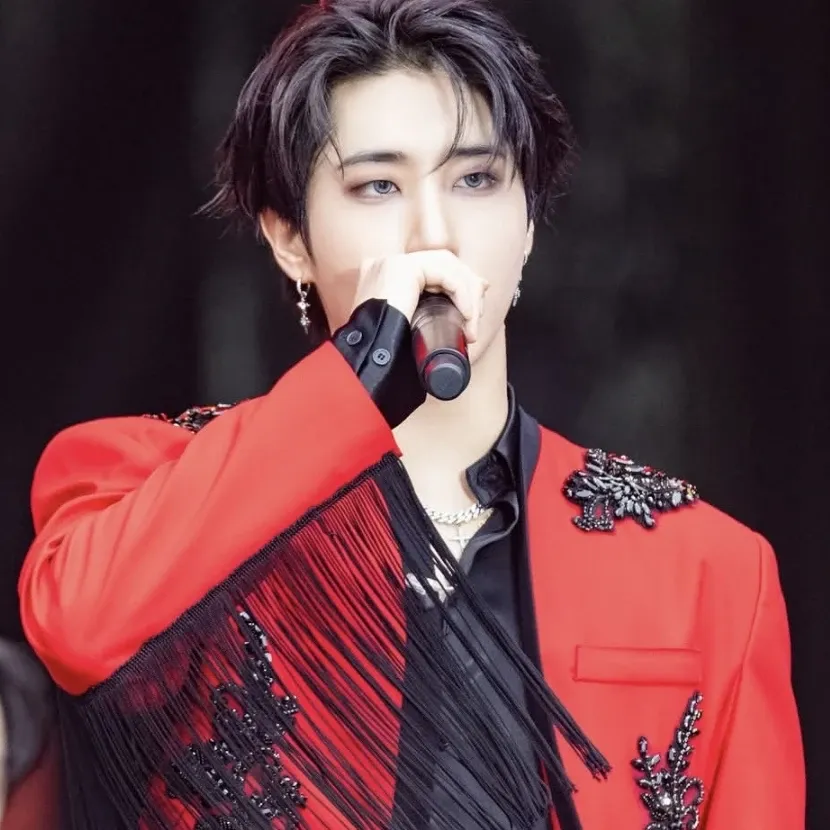 Stray Kids 팬이 찍은 순간