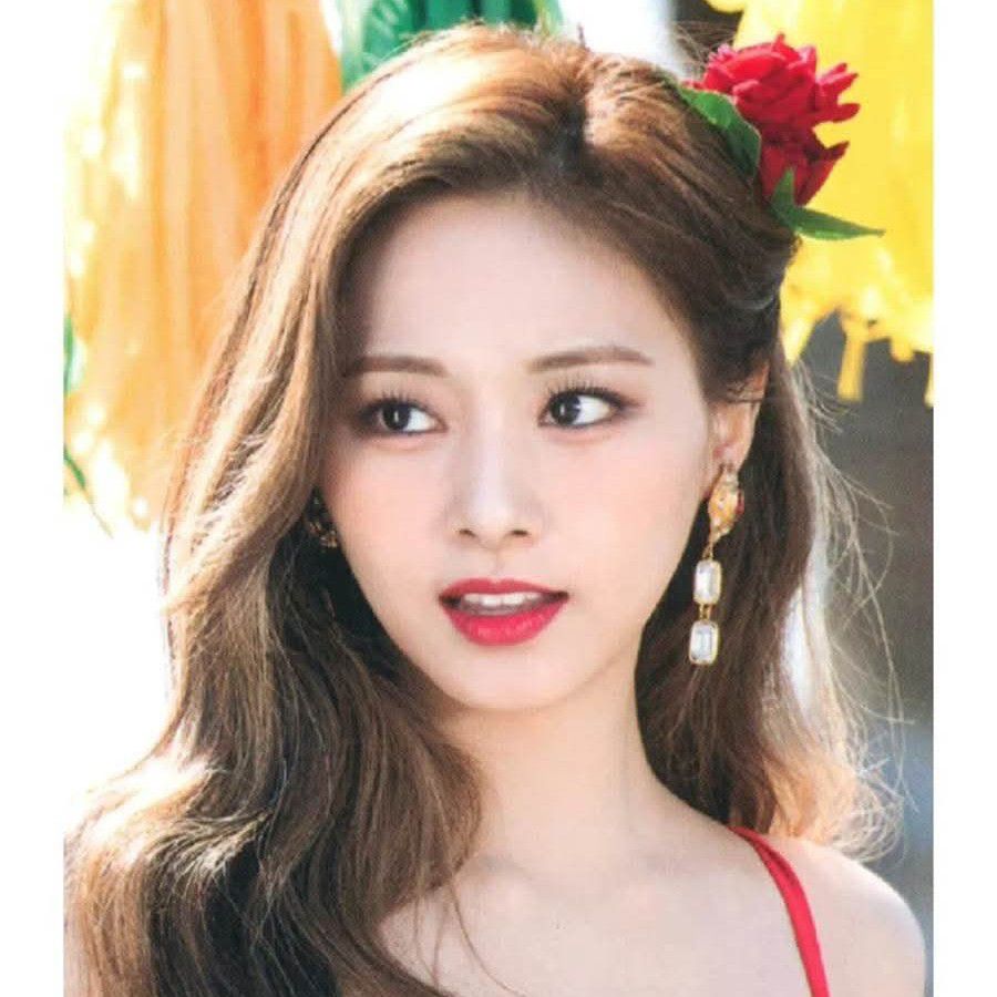 A moment captured by Tzuyu (TWICE)'s fan