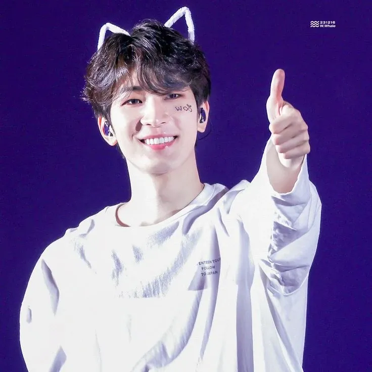 A moment captured by Wonwoo (SEVENTEEN)'s fan