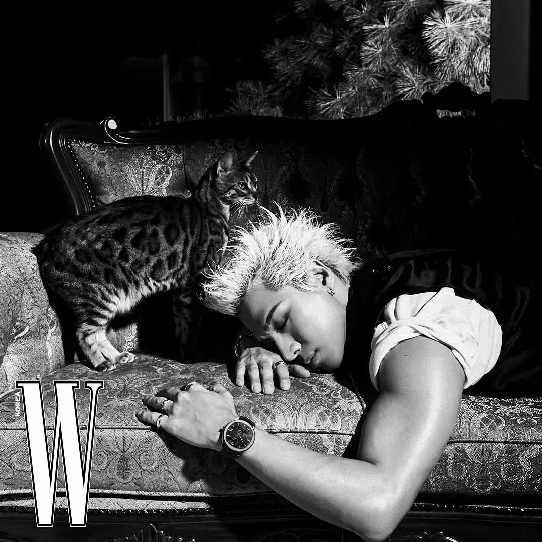 太阳 (BIGBANG)粉丝拍下的瞬间