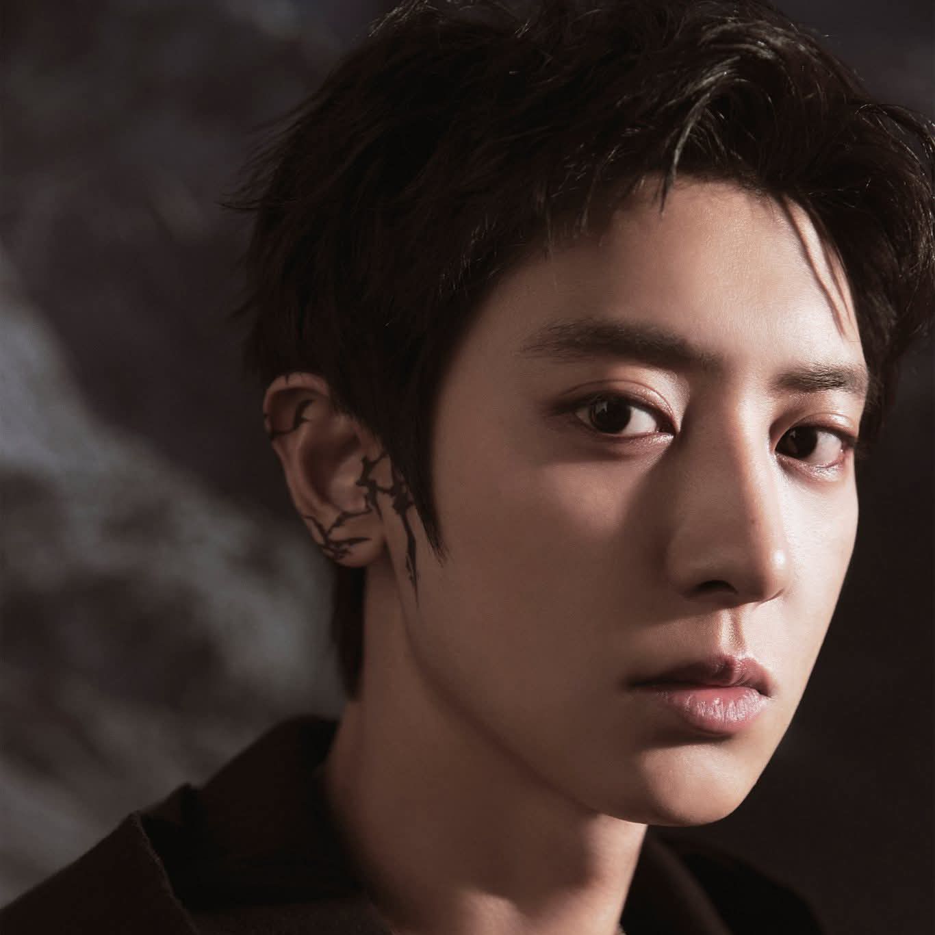 찬열 (EXO) 최근 활동샷