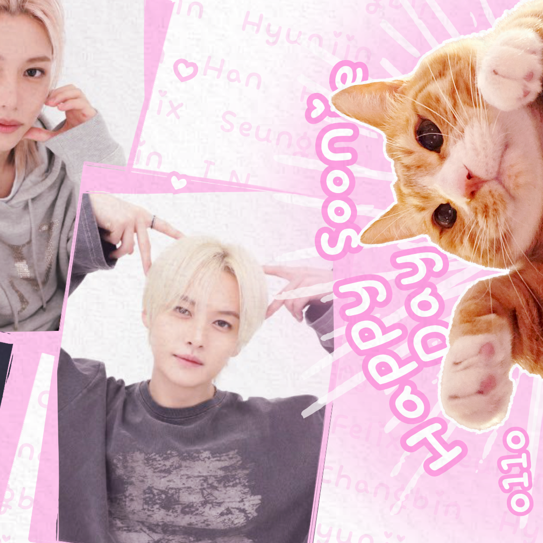 Stray Kids 최근 활동샷