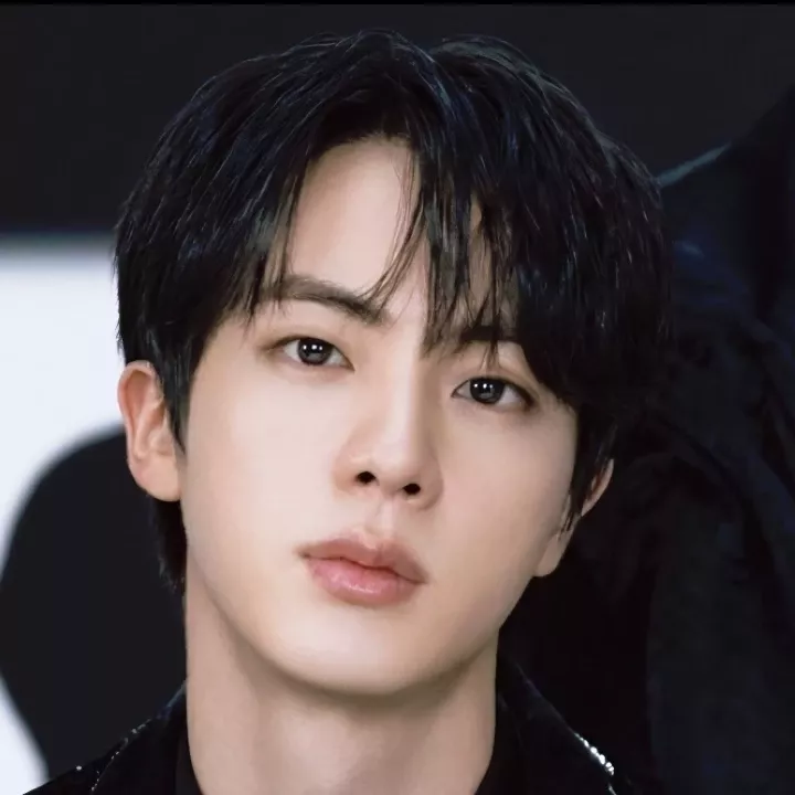 진 (방탄소년단) 팬이 찍은 순간