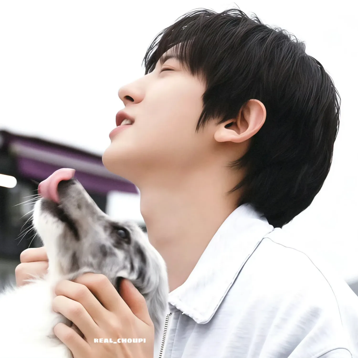 A moment captured by Chanyeol (EXO)'s fan