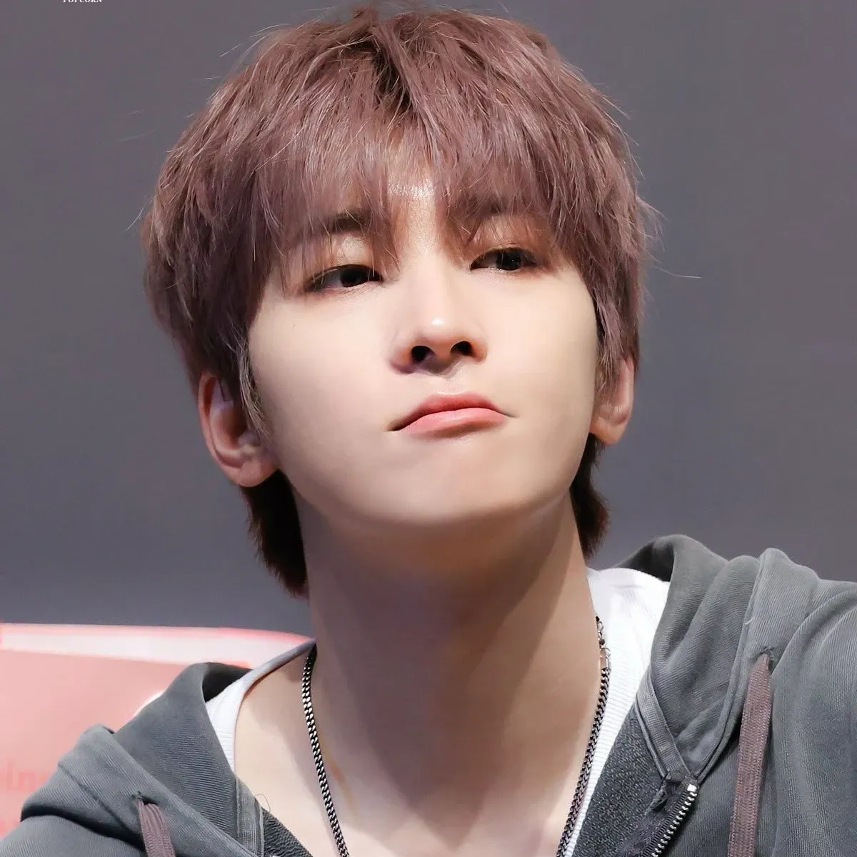 원우 (세븐틴) 팬이 찍은 순간