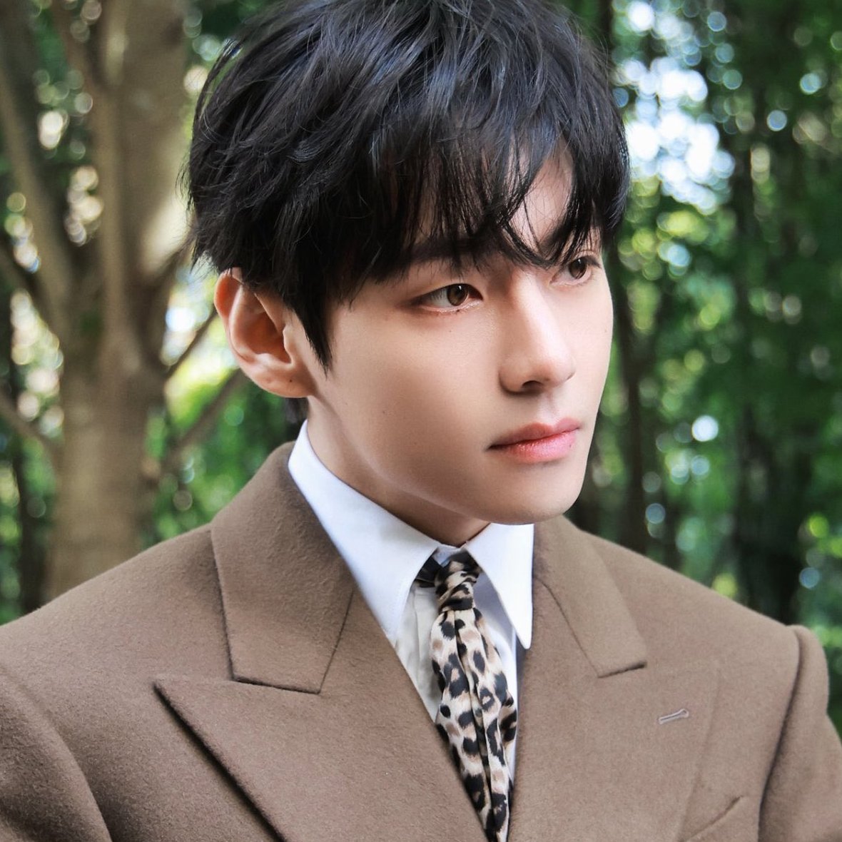 V (防彈少年團)的幕後花絮