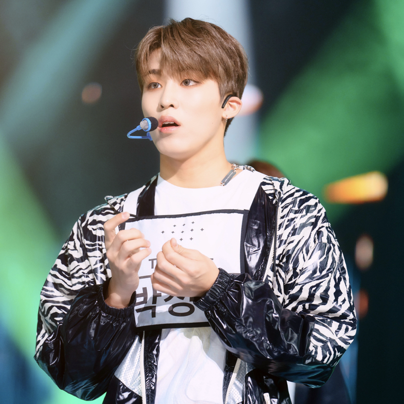 박정우 (TREASURE)의 최신 사진