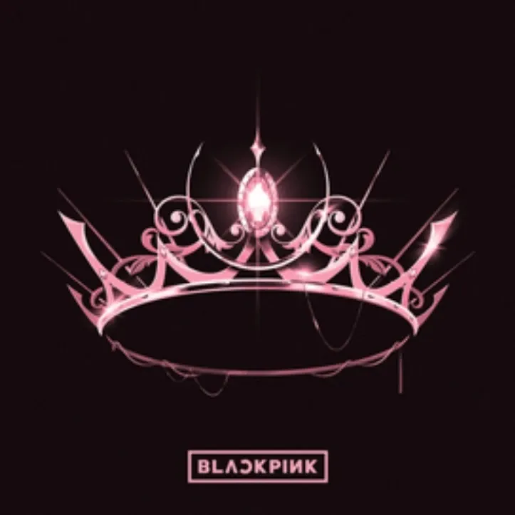 BLACKPINK的最新活動照片
