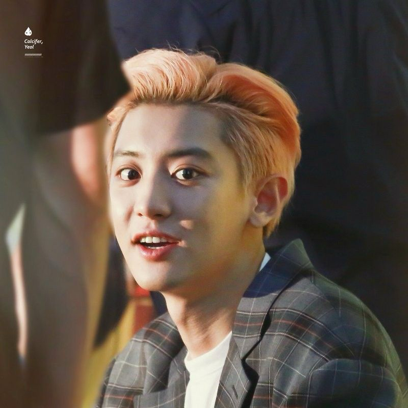 Potret di balik layar Chanyeol (EXO)